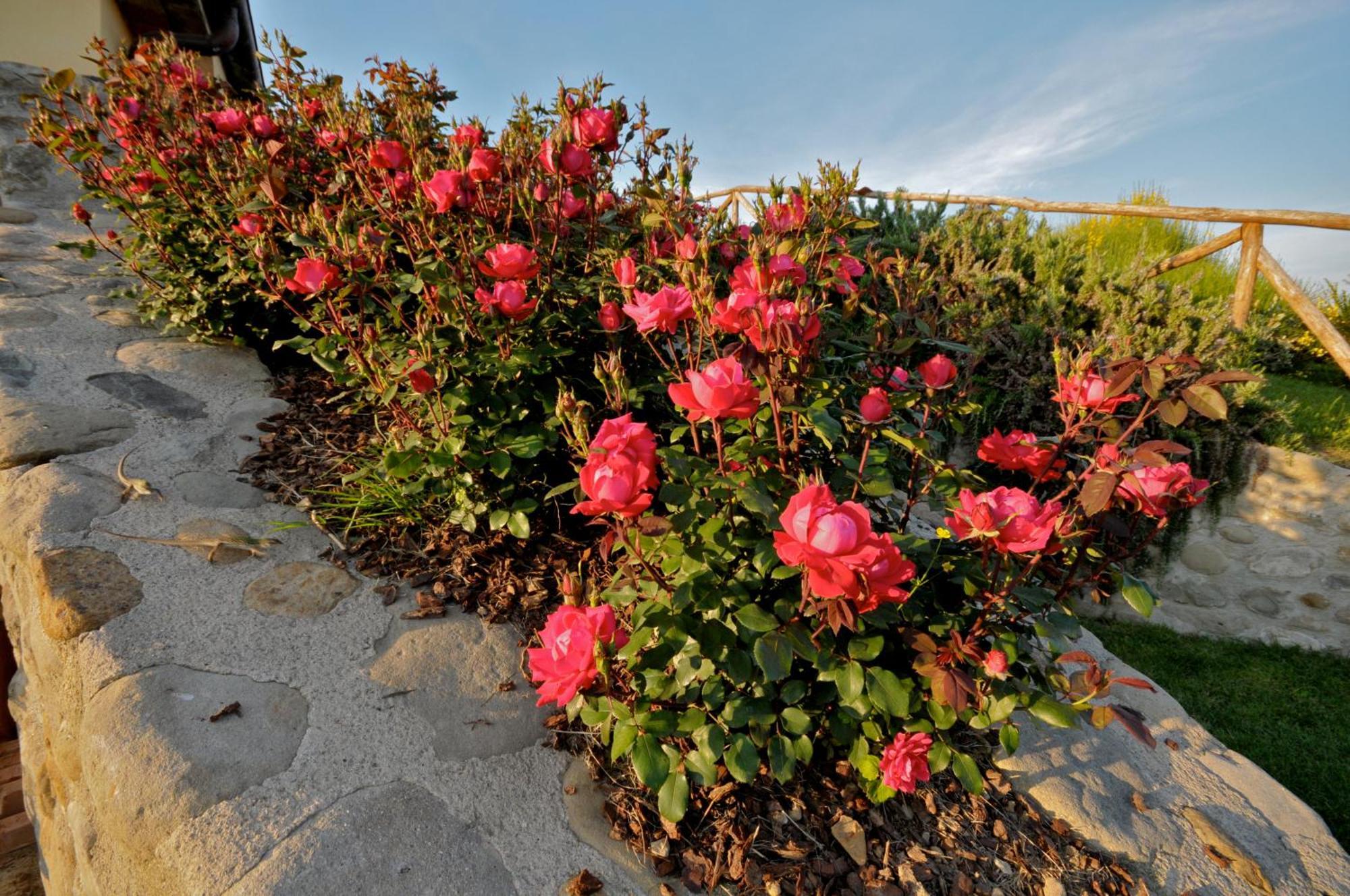 Agriturismo San Rocco ปิสโตยา ภายนอก รูปภาพ